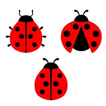 Ladybug vector graphic illustration, isolated. Cute simple flat design of black Stock Illustration
