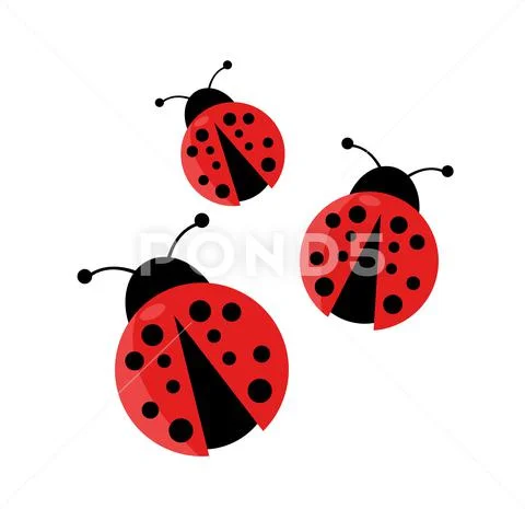 Ladybug vector illustration Stockillustratie