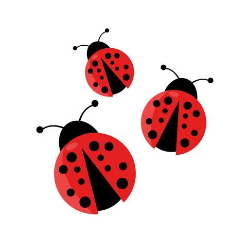 Ladybug vector illustration Stock Illustration