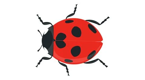 Ladybug vector illustration Stock Illustration