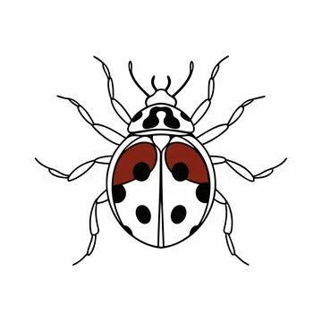 Ladybug Vector Illustration Minimal Flat Insect S (1) vector illustration d.. Stock Illustration