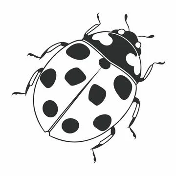 Ladybug Vector Illustration Minimal Flat Insect S vector illustration desig.. Stock Illustration
