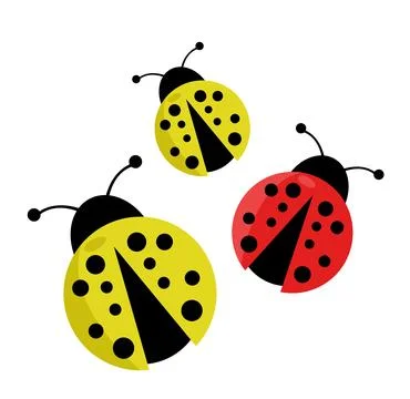 Ladybug vector illustration on white Stock Illustration