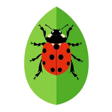 Ladybug vector. Ladybug on white background. wallpaper. symbol. Stock Photos