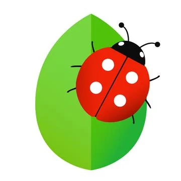 Ladybug vector. Ladybug on white background. wallpaper. symbol. Stock Photos