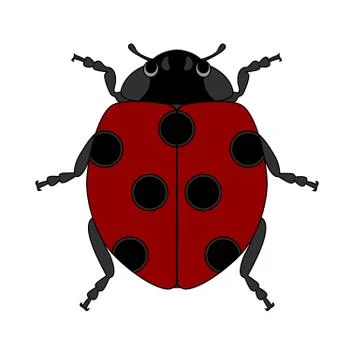 Ladybug in vector on white background 스톡 일러스트