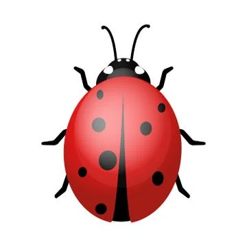 Ladybug on a white background. Design vector Illustrazione stock