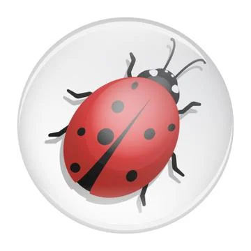 Ladybug on a white background. Design vector Stock Illustration
