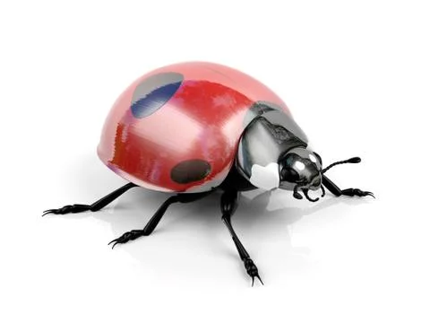 Ladybug on white background Stock Illustration