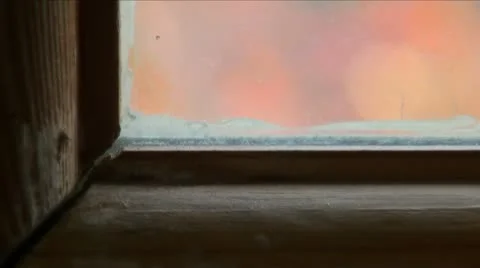 Ladybug on the window Stock Footage 10816180