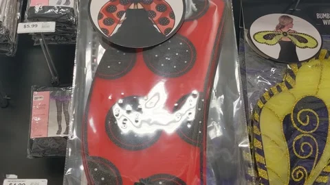 Ladybug Wings - Retailer 스톡 동영상 169084398