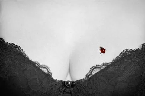 Ladybug on a woman's breast Stock Photos