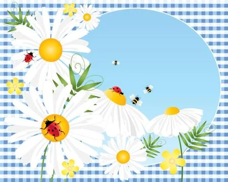 Ladybugs and daisies Stock Illustration