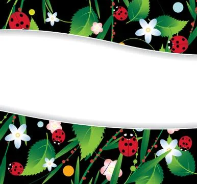 Ladybugs and flowers Stock Illustration