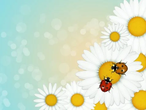 Ladybugs on daisies Stock Illustration