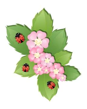 Ladybugs Stock Illustration
