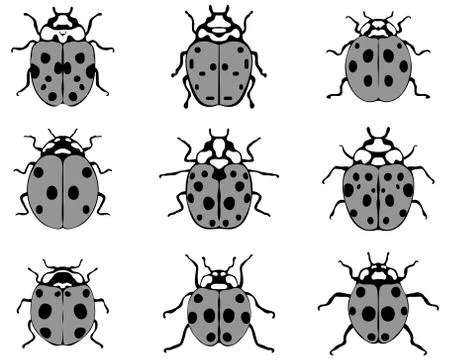Ladybugs Stock Illustration