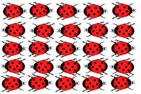 Ladybugs Stock Illustration