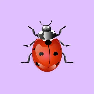 Ladybugs illustration Stock Illustration