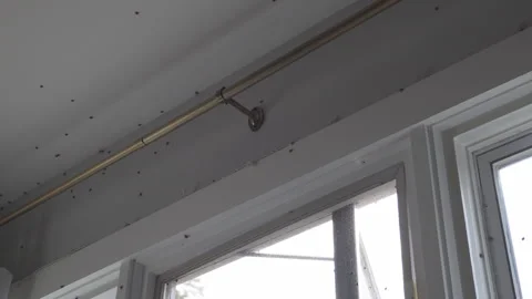 Ladybugs Infestation in Home, Bugs on Ceiling Stock Footage 322020040