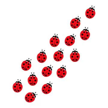 Ladybugs line group. Stock Illustration