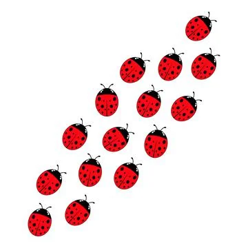 Ladybugs line group. Stock Illustration
