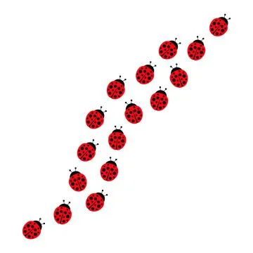 Ladybugs line group. Stock Illustration