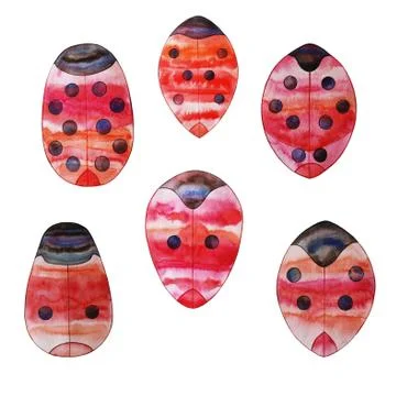 Ladybugs set isolated on white background. Stock Illustration