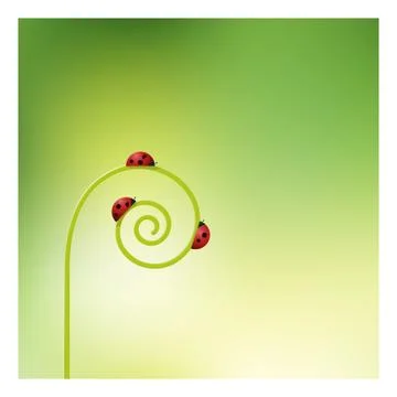 Ladybugs on sprout unrolling background Stock Illustration