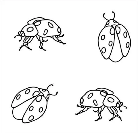 Ladybugs. Vector Stock Illustration