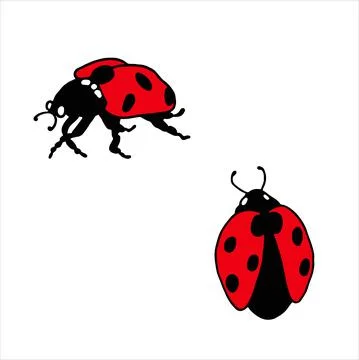 Ladybugs. Vector Stock Illustration