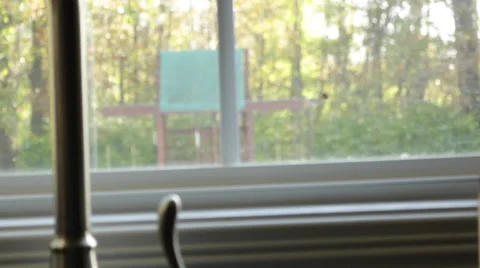 Ladybugs on window Video stock 51680435