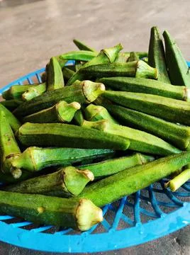 Ladyfinger Vegetables Stock Photos
