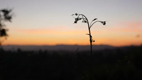 LAElysian2 Stock Photos