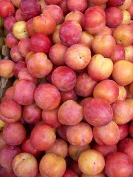 Laetitia plums. Stock Photos