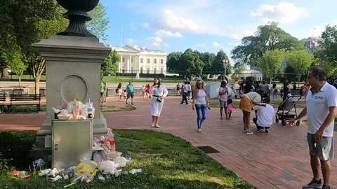 Lafayette Square Garbage  Litter White House Washington DC Video stock 156516473