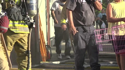 LAFD Responding to burning building &amp; rescuing animals Stock Footage 209718017