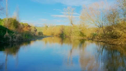 Lagar pombal Vídeos de archivo 298943172