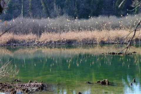 Laghetto Stock Photos