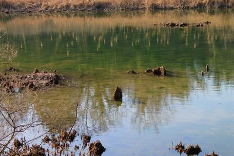 Laghetto Stock Photos