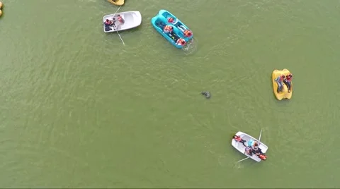 Lago del Bosque de Chapultepec. Stock Footage 44349039