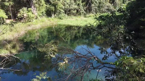 Lago do Sapo in Olhos d Agua Park Brasilia Stock Footage 201499566