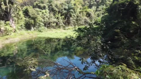 Lago do Sapo in Olhos d Agua Park Brasilia Stock Footage 201499615