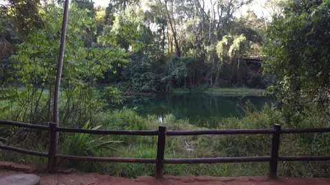 Lago do Sapo in Olhos d Agua Park Brasilia Stock Footage 201499710