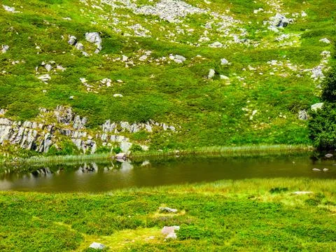 LAGO NERO Stock Photos