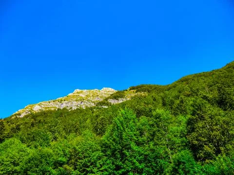 LAGO NERO Stock Photos