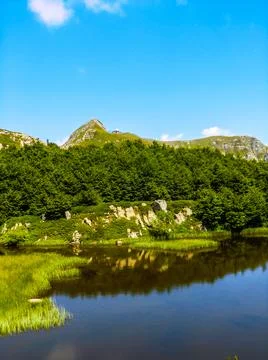 LAGO NERO Stock Photos
