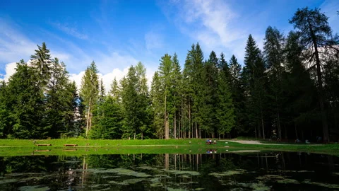Lago Pianozes - Timelapse - 4K Stock Footage 205519005