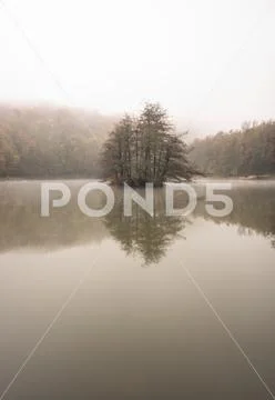 Lago Pontini Nebbia Stock Photos