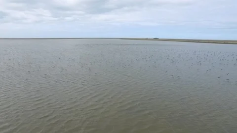 Lagoa dos Patos Stock-Footage 137610177